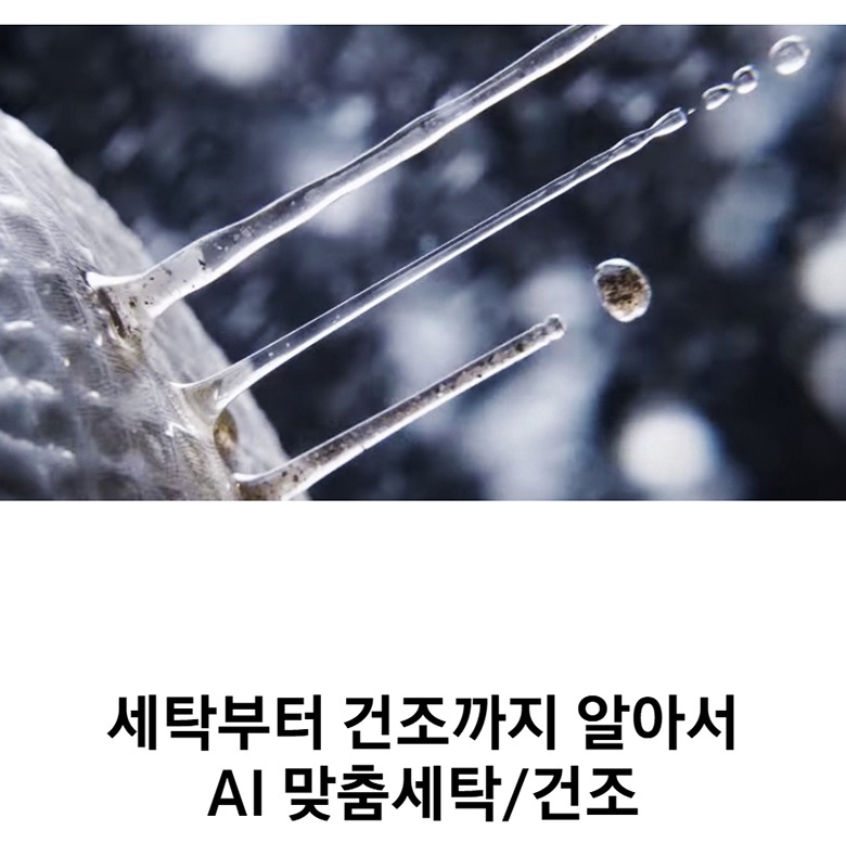 클래식 컬러 라인업 안내