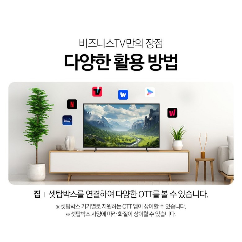 24년형 BED와 25년형 BEF 사양 비교