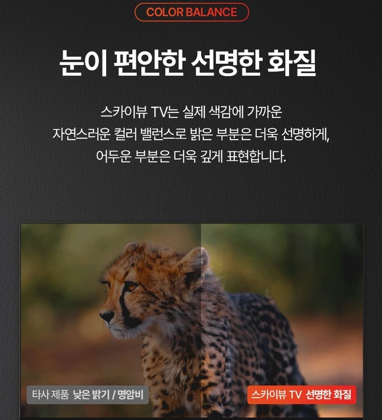 1mm 제로베젤 프레임 디자인