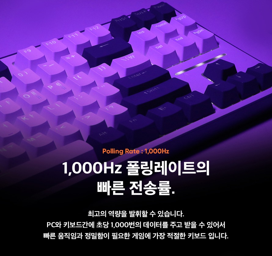 CK01 TKL 상세 사양 이미지