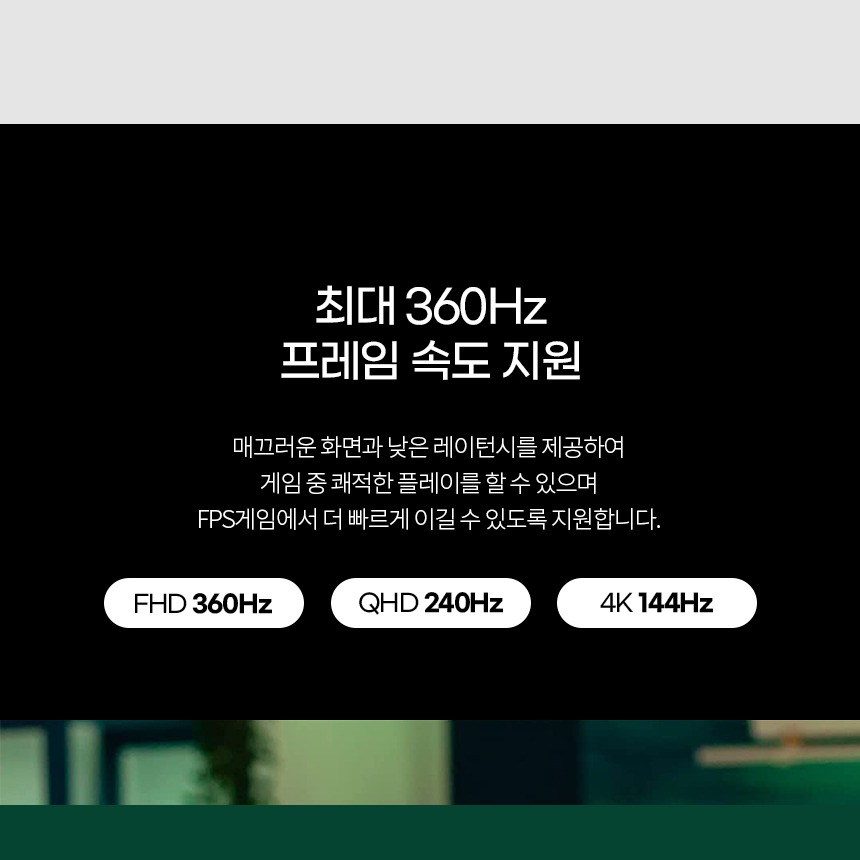 DP 버전 비교 안내