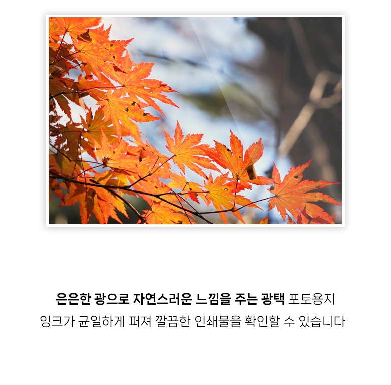 사진 출력 활용 예시