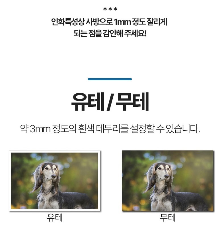 코닥 프리미엄 인화지 안내