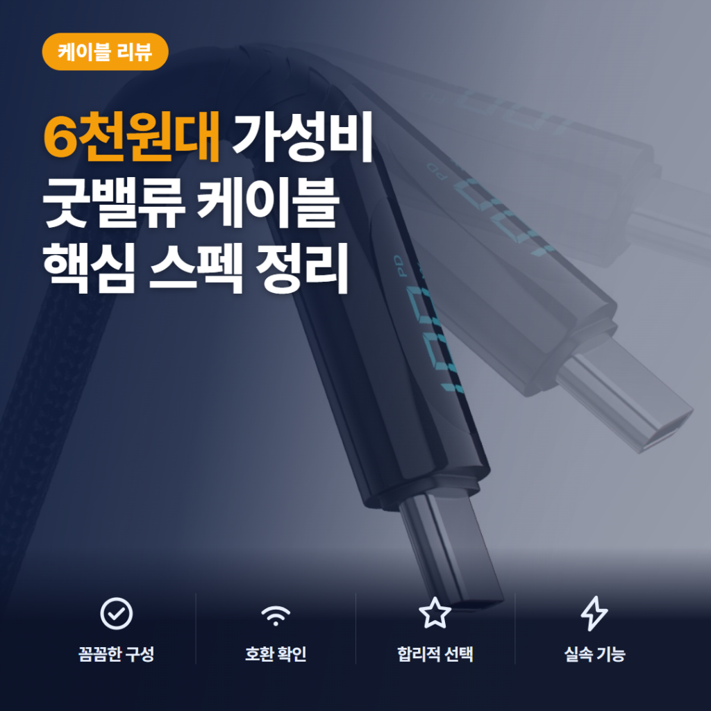 100W C타입 케이블 굿밸류 디스플레이와 6천원대 가성비 선택 기준 솔직 후기